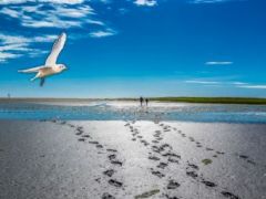Sommerfreizeit der Kinder - und Jugendförderung Bickenbach an die Nordsee vom 26.7. - 3.8.2025 