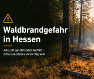 Forstministerium weist auf Waldbrandgefahr hin