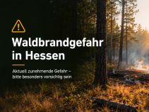 Forstministerium weist auf Waldbrandgefahr hin