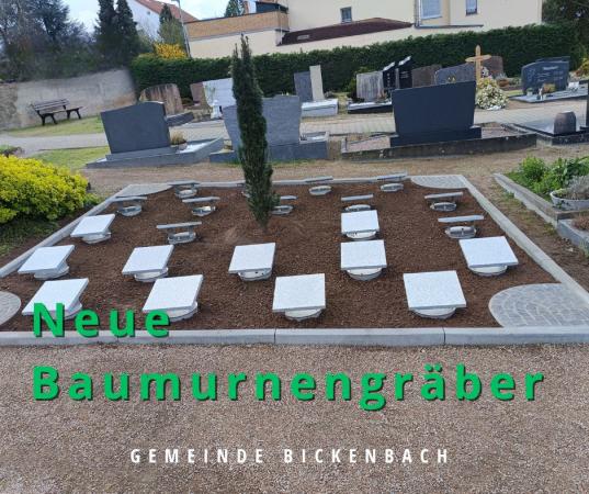 neues Friedhofsfeld mit Baumurnengräbern