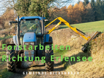 Gehölzpflege entlang der Zufahrt Erlensee