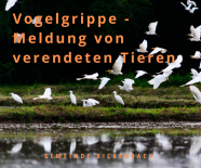 Meldung Vogelgrippe