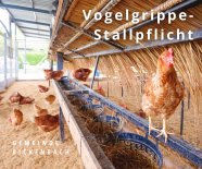 Vogelgrippe - Stallpflicht