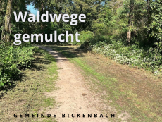 Feuerwehr und Forst einigen sich auf Angriffswege