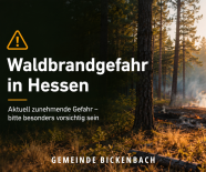 Forstministerium weist auf Waldbrandgefahr hin