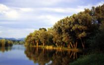 Erlensee